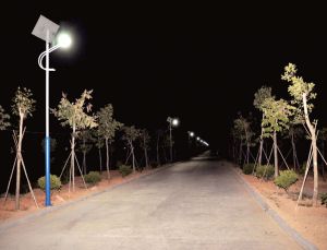 太陽(yáng)能鋰電路燈