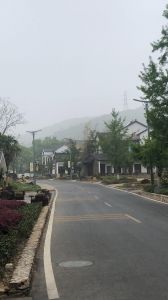 【定制特色路燈案例】長(zhǎng)興縣八都岕十里銀杏景區(qū)特色路燈