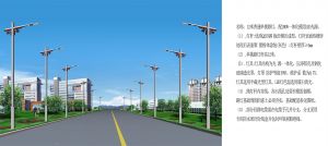 【定制路燈案例】新疆阿拉爾經(jīng)濟(jì)開(kāi)發(fā)區(qū)路燈工程