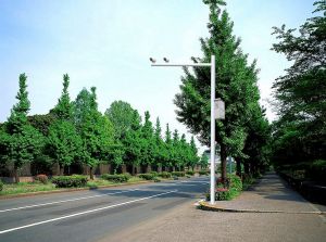 交通信號(hào)燈